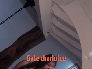 Gate_charlotee
