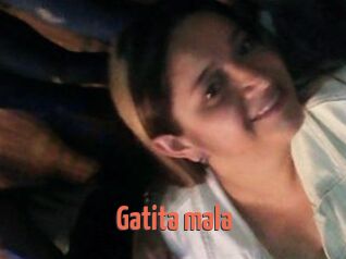 Gatita_mala