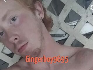 Gingerboy9695