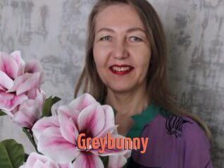 Greybunny