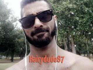 Hairydude87