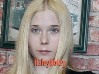HaleyBoley