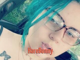 HareBunny