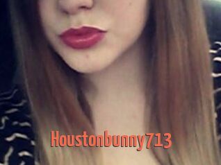 Houstonbunny713