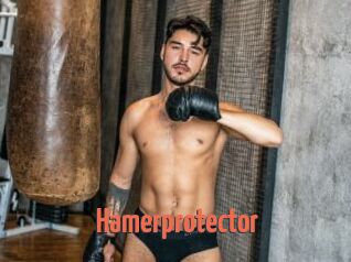 Hamerprotector