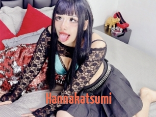 Hannakatsumi