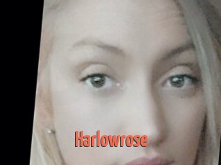 Harlowrose