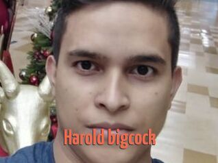 Harold_bigcock