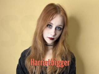 Harrietbigger
