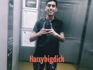 Harrybigdick