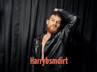 Harrybsmdirt