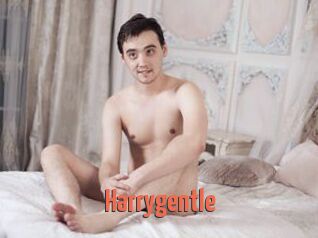 Harrygentle