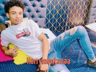 Harrymontanaa