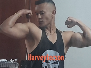 Harveytecson