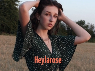 Heylarose