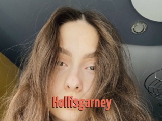 Hollisgarney