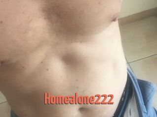 Homealone222