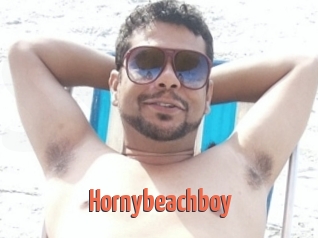 Hornybeachboy