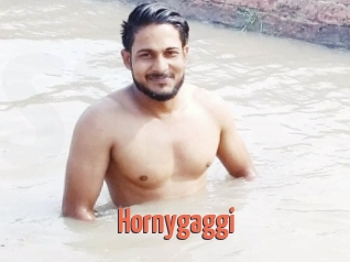 Hornygaggi