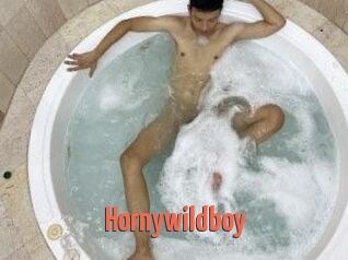 Hornywildboy