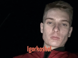 Igorkoshel