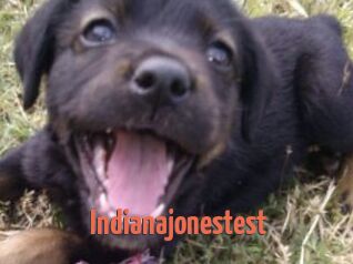 Indianajonestest