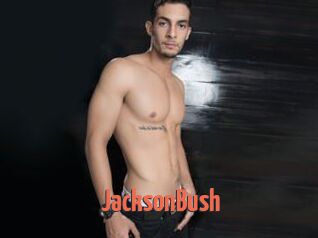 JacksonBush