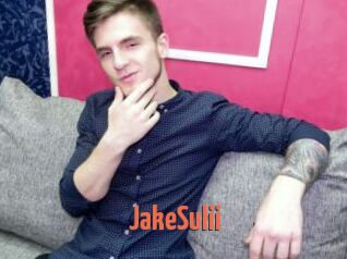 JakeSulii