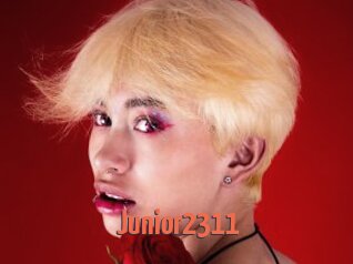 Junior2311