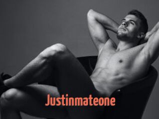 Justinmateone