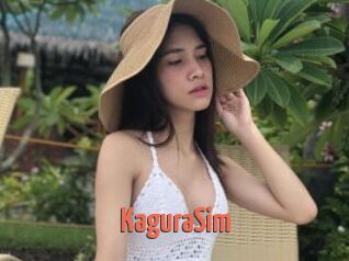 KaguraSim