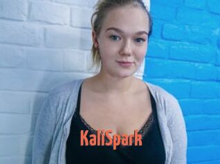 KaliSpark