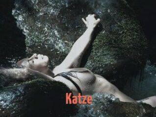 Katze
