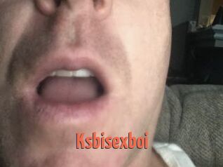 Ksbisexboi