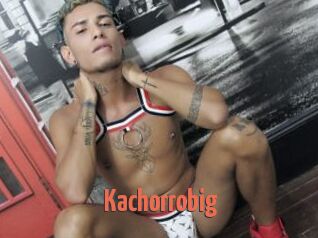 Kachorrobig