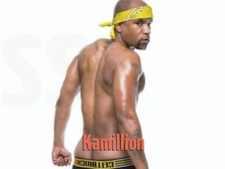 Kamillion