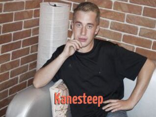 Kanesteep