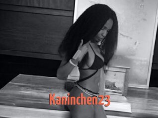 Kaninchen23