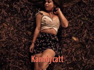 Kanndycatt