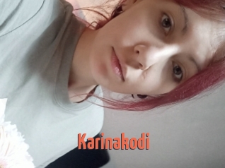 Karinakodi