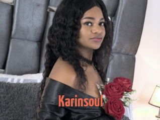 Karinsoul