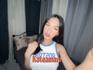 Kateamari