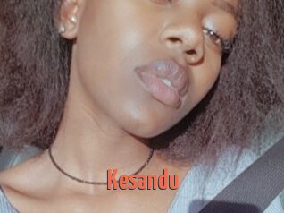Kesandu