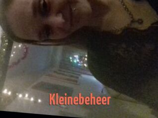 Kleinebeheer