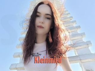 Kleinmird