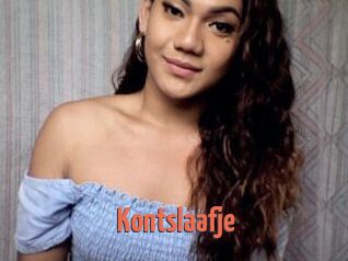 Kontslaafje