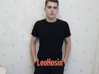 LeoHosin