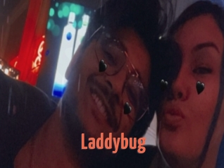 Laddybug