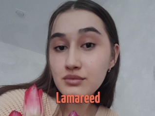 Lamareed