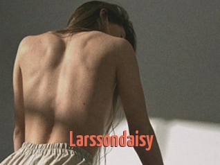 Larssondaisy